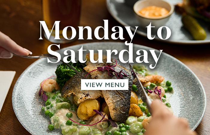 vin-dn24-11-menus-mondaytosaturday-sb.jpg